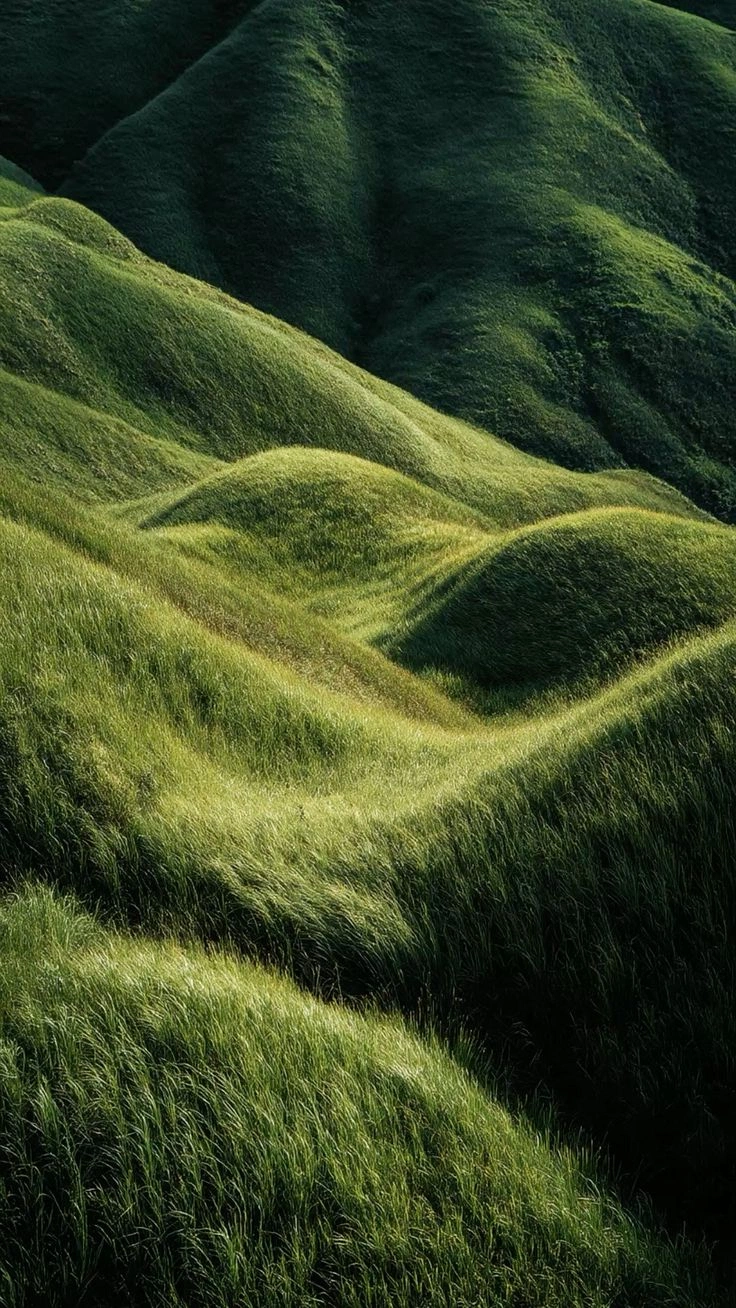 Green rolling hills